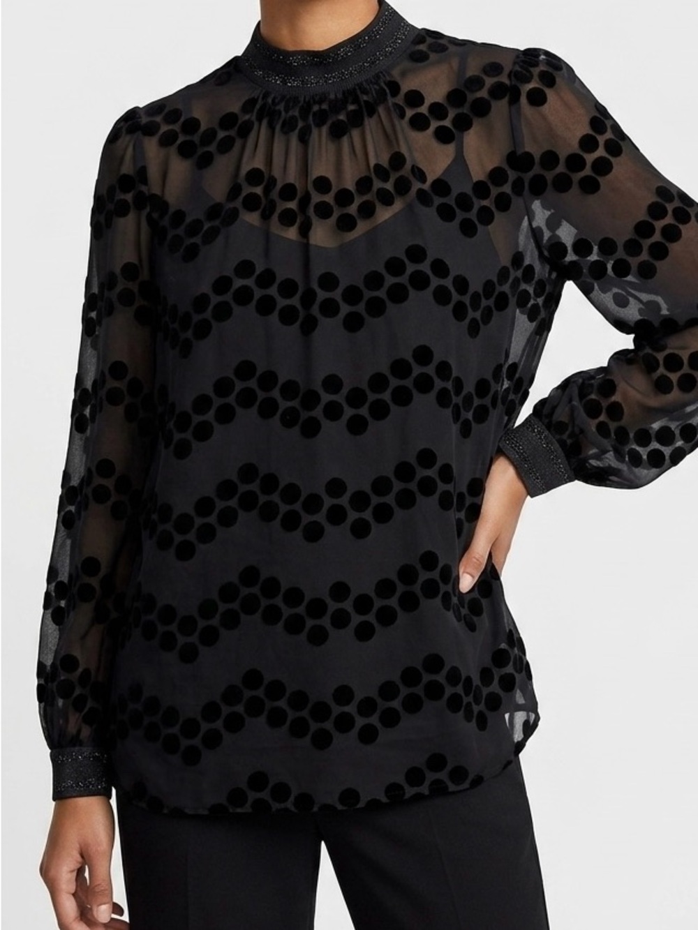 Tory Burch Velvet Devore Polka Dot Sheer Blouse Top 6 Quiet Luxury Romantic